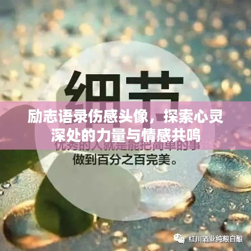 励志语录伤感头像，探索心灵深处的力量与情感共鸣