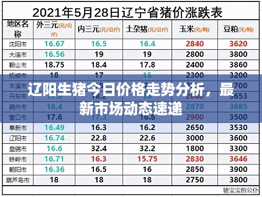 辽阳生猪今日价格走势分析，最新市场动态速递
