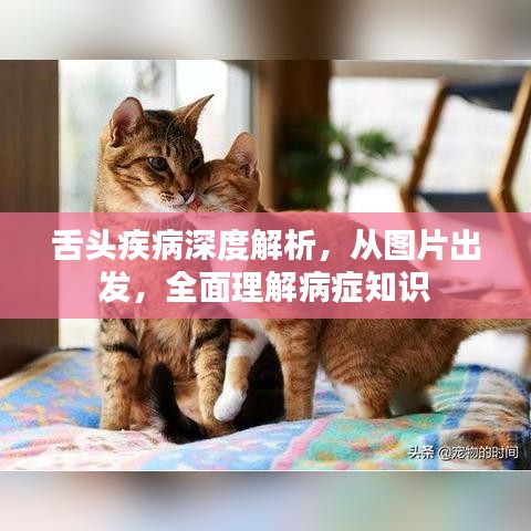 舌头疾病深度解析，从图片出发，全面理解病症知识