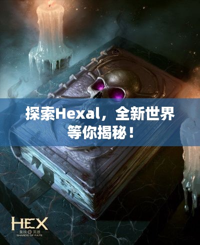 探索Hexal，全新世界等你揭秘！