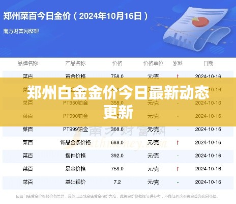 郑州白金金价今日最新动态更新