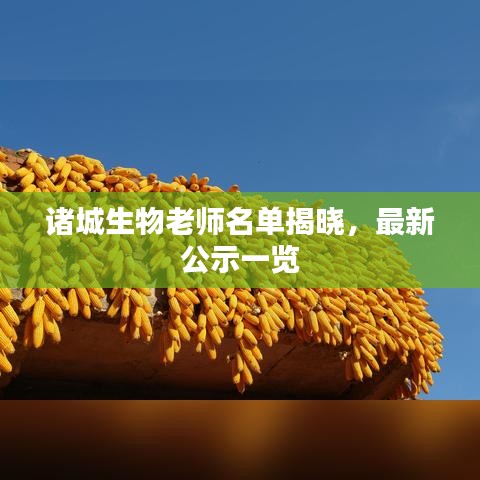 诸城生物老师名单揭晓，最新公示一览