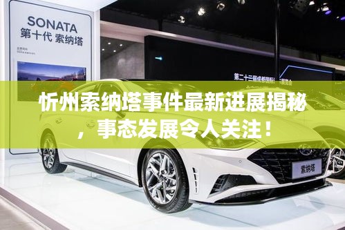 肝胆相照
