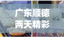 广东顺德两天精彩游攻略，探索美食与文化之旅！