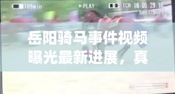 岳阳骑马事件视频曝光最新进展，真相揭秘！