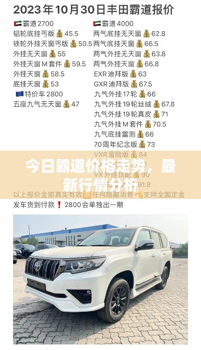 今日霸道价格走势，最新行情分析