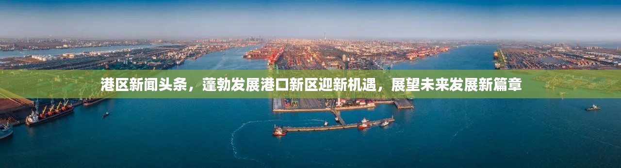 港区新闻头条，蓬勃发展港口新区迎新机遇，展望未来发展新篇章