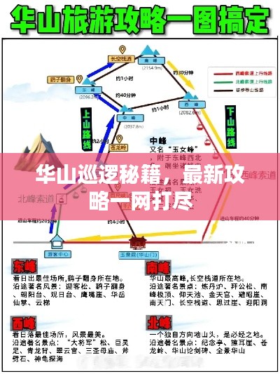 华山巡逻秘籍，最新攻略一网打尽
