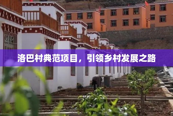 洛巴村典范项目，引领乡村发展之路