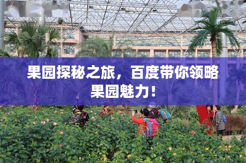 果园探秘之旅，百度带你领略果园魅力！