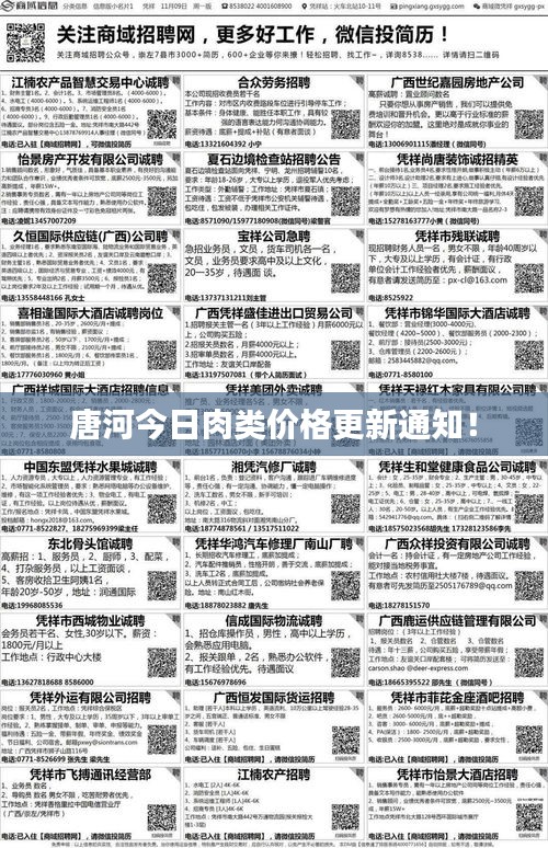 唐河今日肉类价格更新通知！