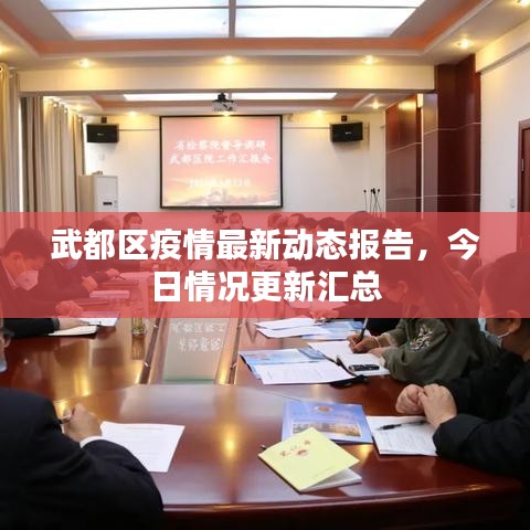 武都区疫情最新动态报告，今日情况更新汇总