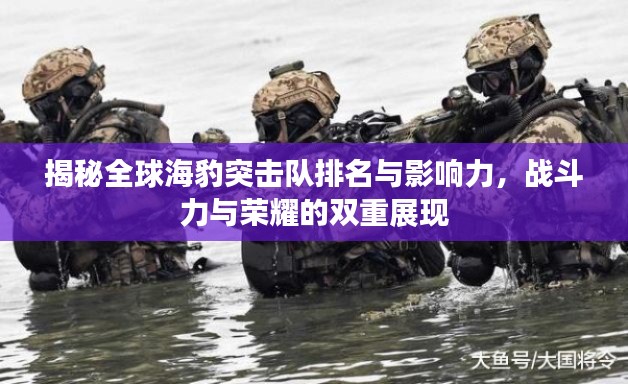 揭秘全球海豹突击队排名与影响力，战斗力与荣耀的双重展现