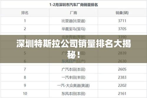 深圳特斯拉公司销量排名大揭秘！