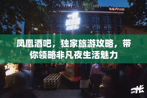 凤凰酒吧，独家旅游攻略，带你领略非凡夜生活魅力