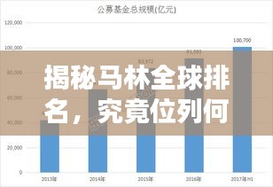 揭秘马林全球排名，究竟位列何方？
