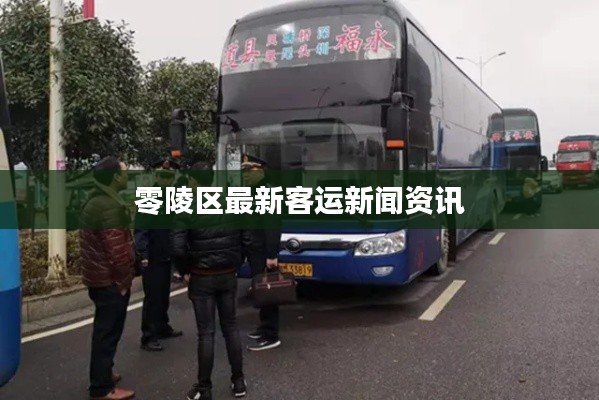 零陵区最新客运新闻资讯
