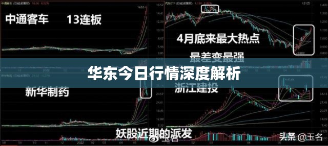 华东今日行情深度解析