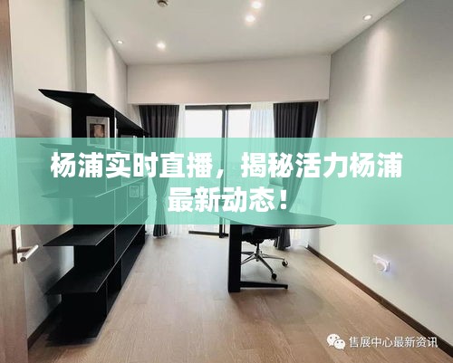 杨浦实时直播，揭秘活力杨浦最新动态！
