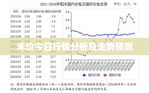 米价今日行情分析及走势预测