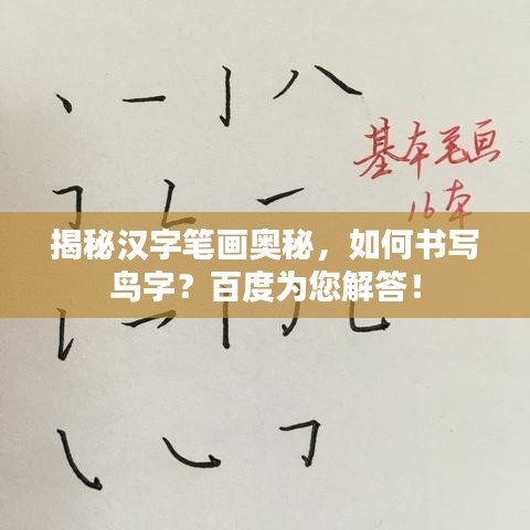 揭秘汉字笔画奥秘，如何书写鸟字？百度为您解答！