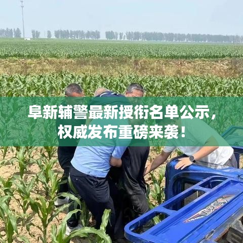 阜新辅警最新授衔名单公示，权威发布重磅来袭！