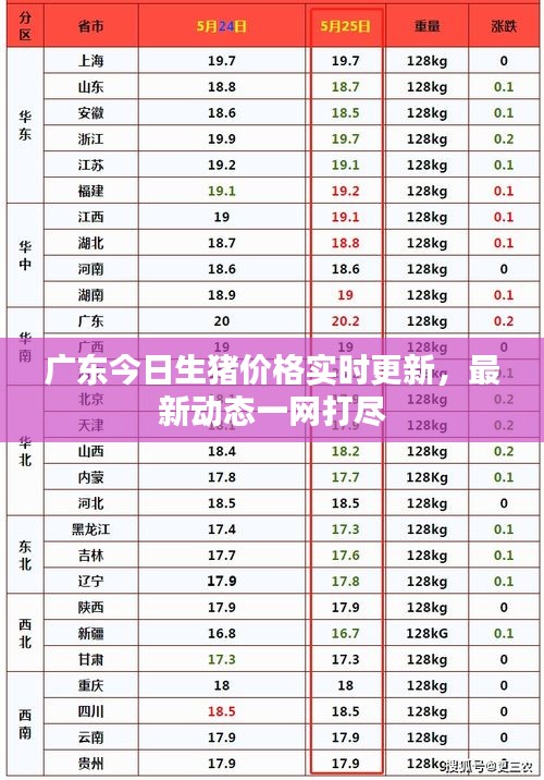 广东今日生猪价格实时更新，最新动态一网打尽