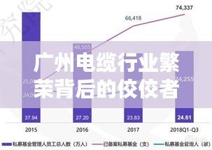 广州电缆行业繁荣背后的佼佼者，揭秘排名前十厂家的优势与实力