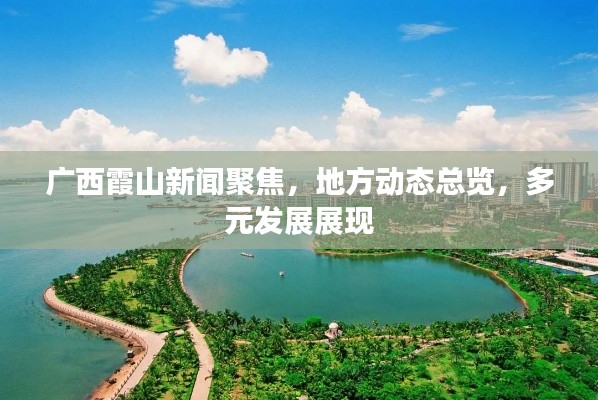 广西霞山新闻聚焦，地方动态总览，多元发展展现