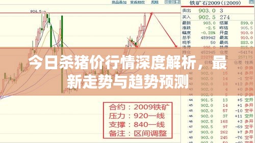 劳燕分飞