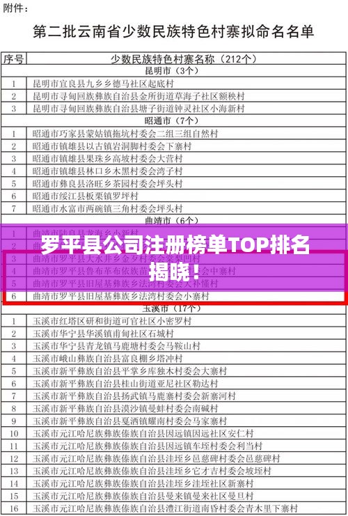 罗平县公司注册榜单TOP排名揭晓！