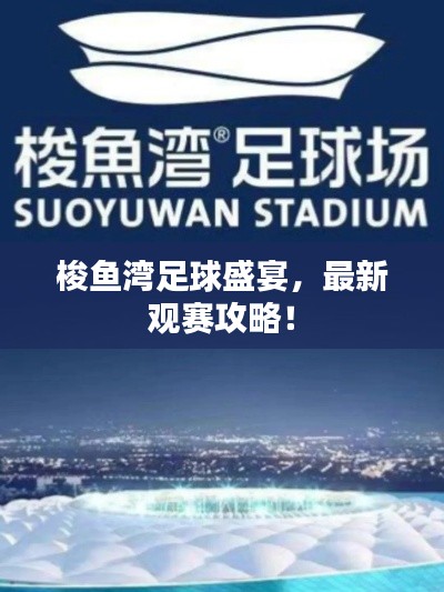 梭鱼湾足球盛宴，最新观赛攻略！