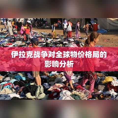 伊拉克战争对全球物价格局的影响分析