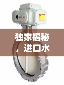 独家揭秘，进口水泥蝶阀公司排名榜单！