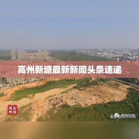 高州新塘最新新闻头条速递