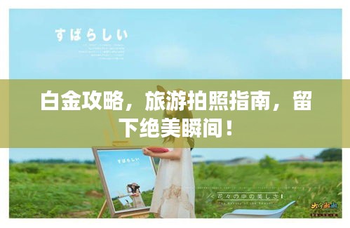 白金攻略，旅游拍照指南，留下绝美瞬间！