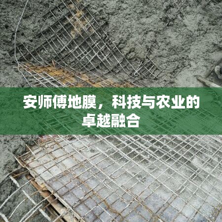 安师傅地膜，科技与农业的卓越融合