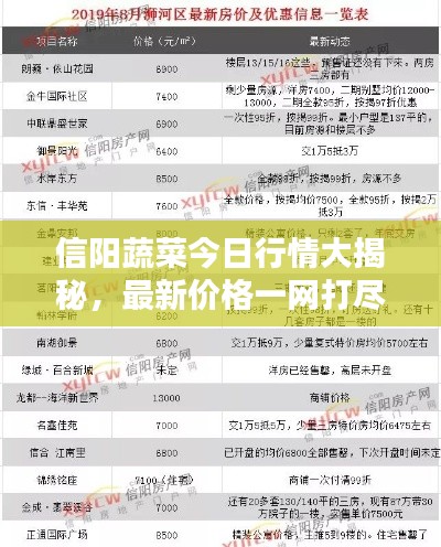 不拘小节