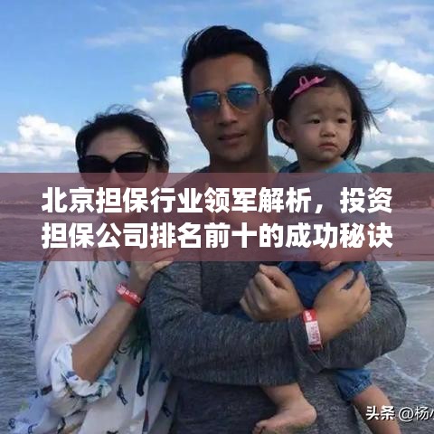 北京担保行业领军解析，投资担保公司排名前十的成功秘诀！