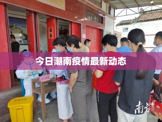 今日潮南疫情最新动态