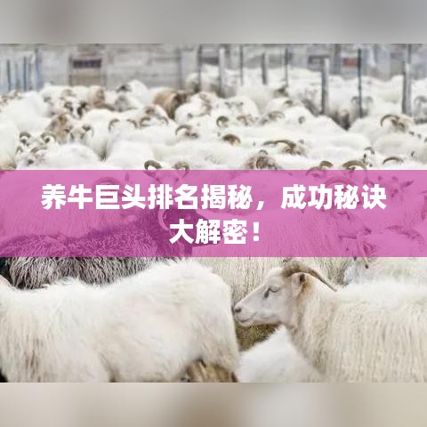 养牛巨头排名揭秘，成功秘诀大解密！