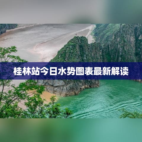 桂林站今日水势图表最新解读