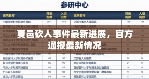 夏邑砍人事件最新进展，官方通报最新情况