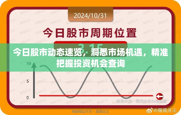 今日股市动态速览，洞悉市场机遇，精准把握投资机会查询