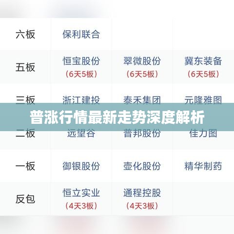 普涨行情最新走势深度解析