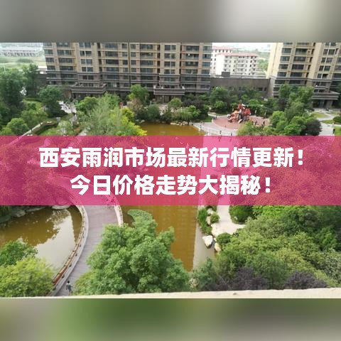西安雨润市场最新行情更新！今日价格走势大揭秘！