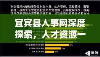 宜宾县人事网深度探索，人才资源一网打尽
