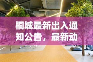 桐城最新出入通知公告，最新动态，请留意！