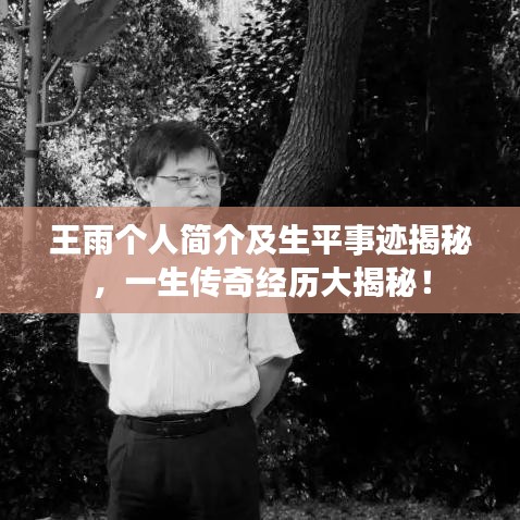 王雨个人简介及生平事迹揭秘，一生传奇经历大揭秘！