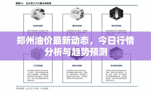 郑州油价最新动态，今日行情分析与趋势预测